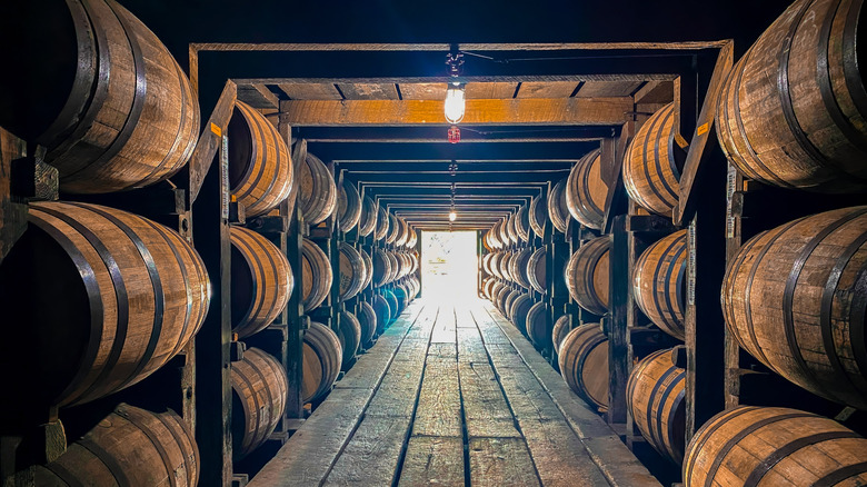 A walkway made of wooden slats lined on either side by banded whisky barrels with a lighted entrance at the far end