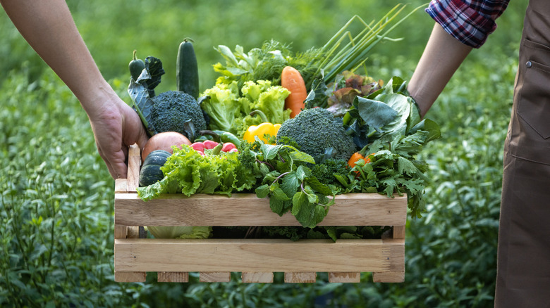 Two hands carry a wooden crate of fresh vegetables with greenery in the background