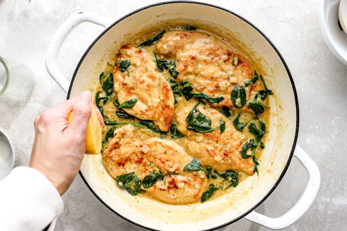 Chicken florentine finished in the skillet with wilted spinach and lemon being squeezed over top