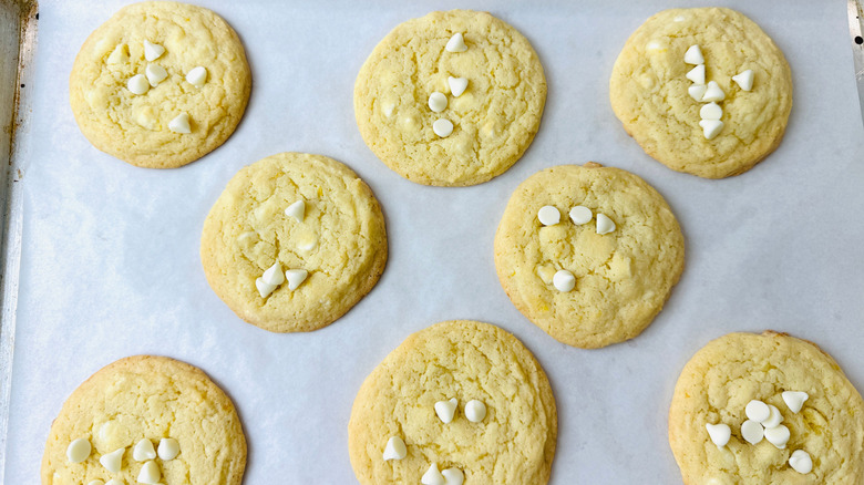 Cookies with white chocolate chips pressed on top