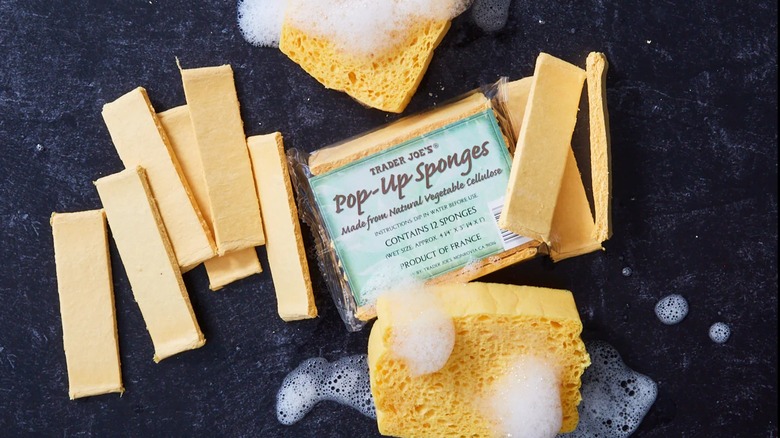 Trader Joe's Pop-Up Sponges displayed on a dark counter with soap suds