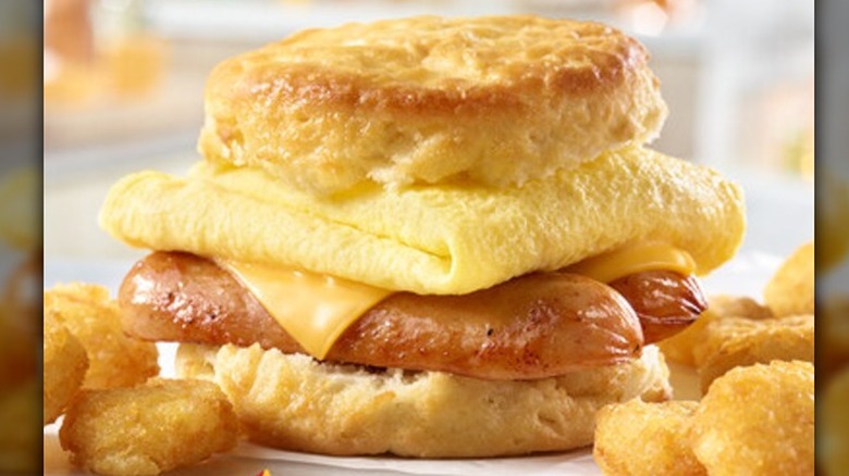 A Hardee's breakfast smoked sausage and egg biscuit and tator rounds on a blurred background