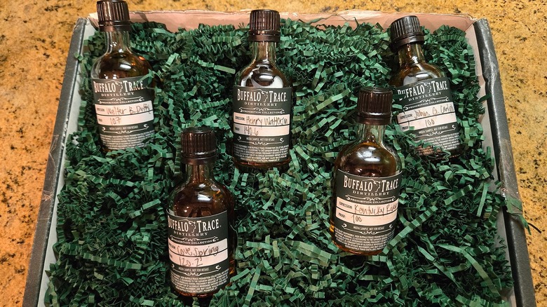 Bottles of the Prohibition Collection in a box with green filler