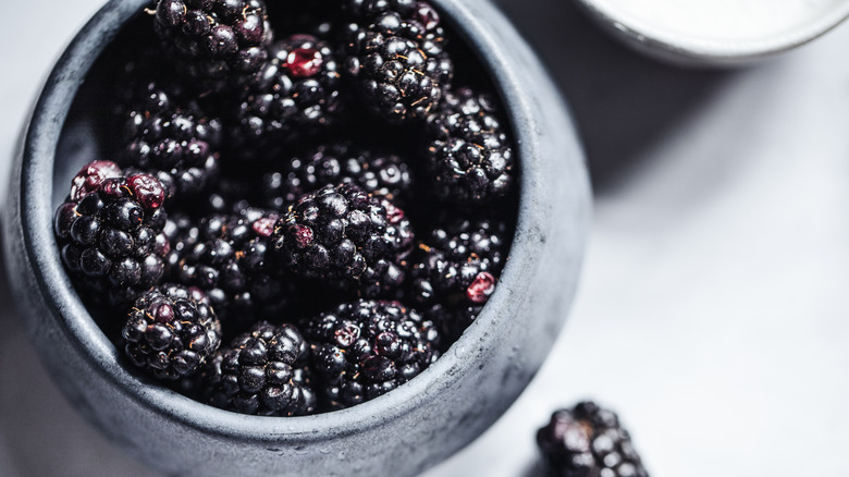 Close-up of a bowl of ripe blackberries