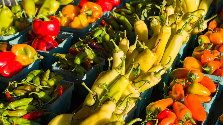 A variety of different colorful peppers on display at an outdoor market