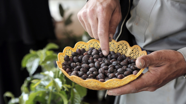 Farmer pointing at harvested coffee beans in a basket.