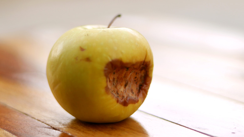 An apple with a visible bruised and rotting area, which could contain pathogens
