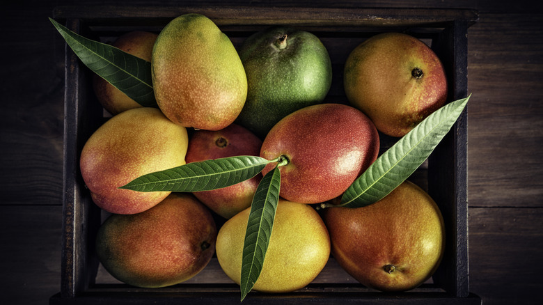 Overhead shot of a wooden box of mangoes, some with leaves still attached