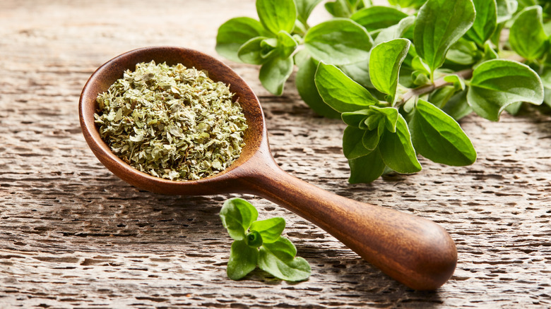 Sprigs of green fresh marjoram sitting next to wooden spoon full of dried marjoram flakes