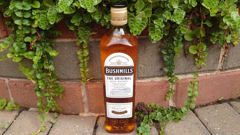 A bottle of Bushmills Original posed among a brick background and foliage