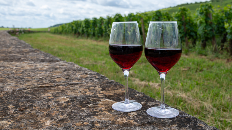 Two glasses of pinot noir resting on stone wall in front of a vineyard