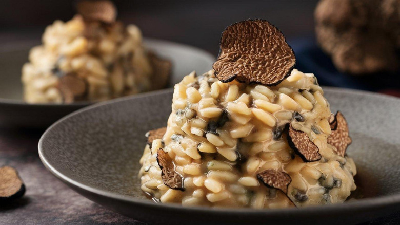 Close-up of risotto with truffle pieces