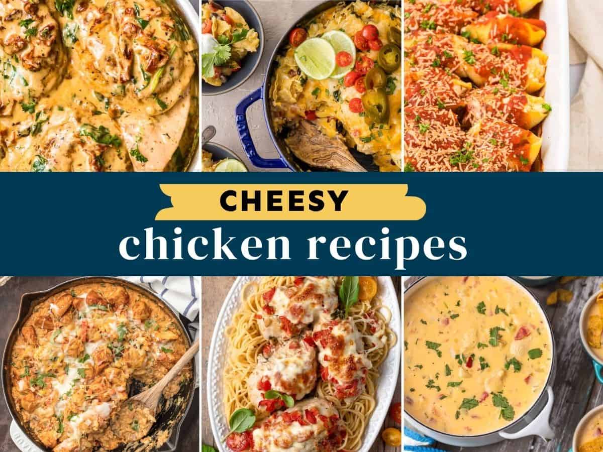 collage of cheesy chicken recipes