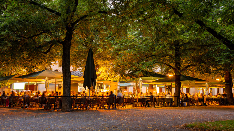 A busy traditional German biergarten over gravel and under chestnut trees