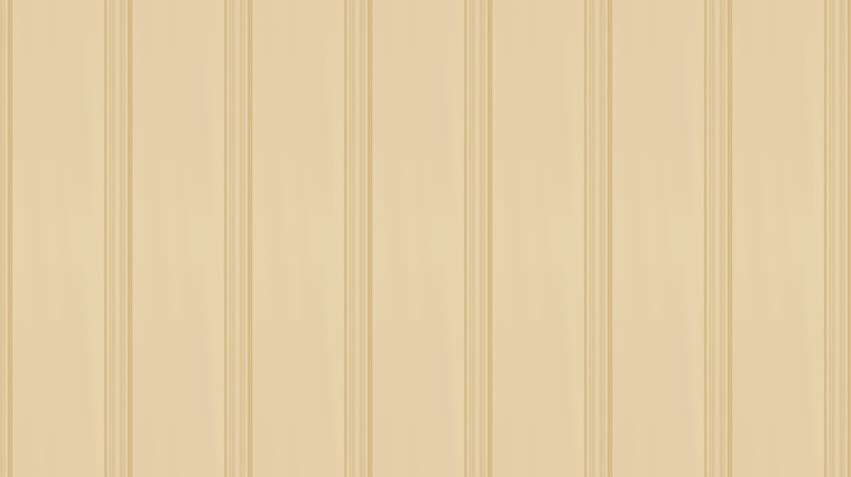 Close-up of seamless beige beadboard, oriented vertically