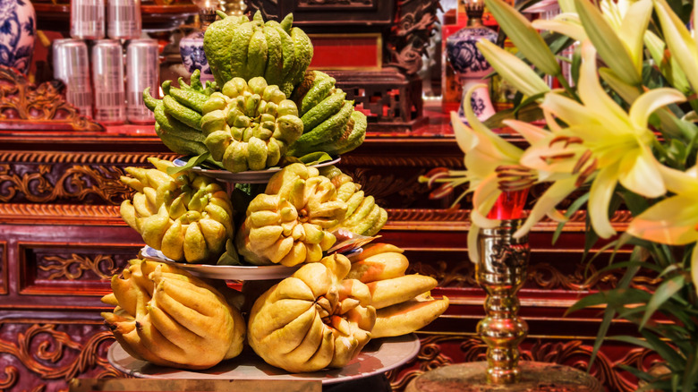 A three tiered platter offering of Buddha's Hand citron at a Buddhist shrine