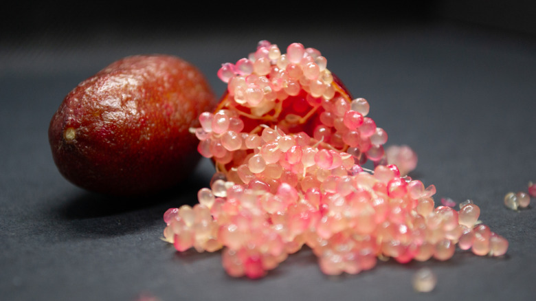 A cross section of a red-rinded finger lime, with pink vesicles bursting forth and tumbling out