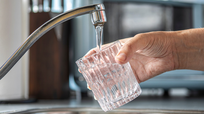 Filling a glass with tap water