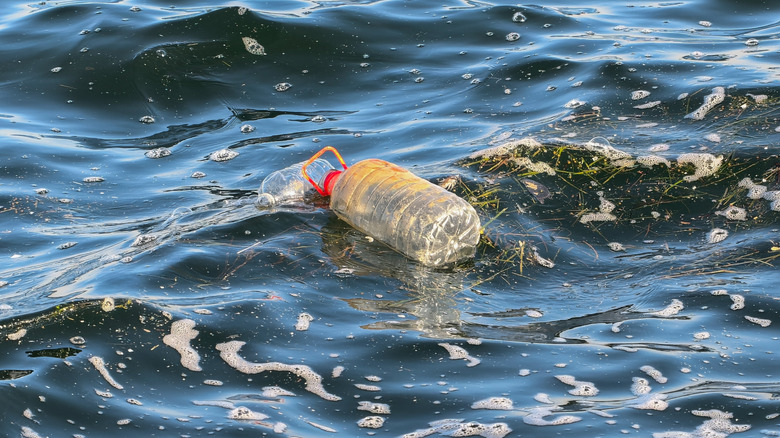 Plastic water bottle floating in ocean