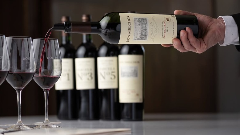 hand pouring Viña Don Melchor wine into glass