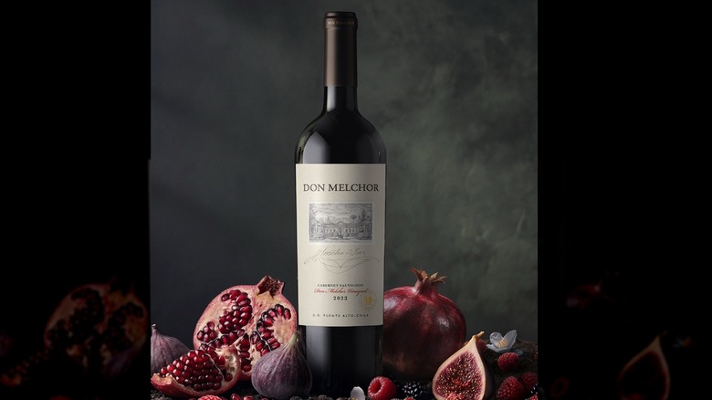 Bottle of 2023 Vina Don Melchor Cabernet Sauvignon with fruits