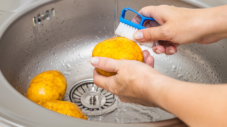Person scrubbing whole potatoes with brush over steel sink