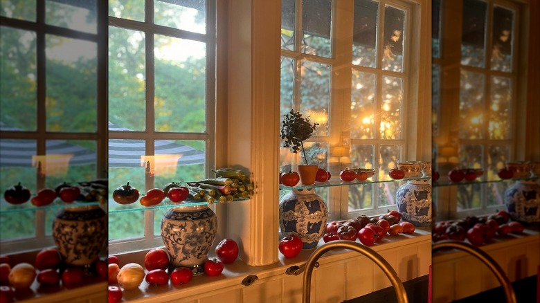 Mirrored image of glass shelves with tomatoes in front of window