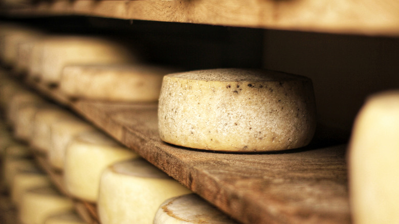 Rolls of cheese on shelves